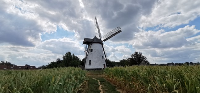  ﻿Le Moulin Molen ter hengst.